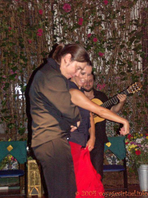 Bailarines de cuerpo a cuerpo, Sevilla Flamenco - España