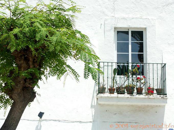 Árbol y pequeño balcón, Tarifa - España