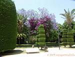 Topiary Parque Genovés, Cádiz, España.