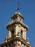 Campanario Grassy en la calle Paso de la Duquesa, Carmona, España.