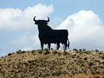 Un toro en la silueta, España.