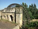 Noria de Albolafia, Córdoba, España.