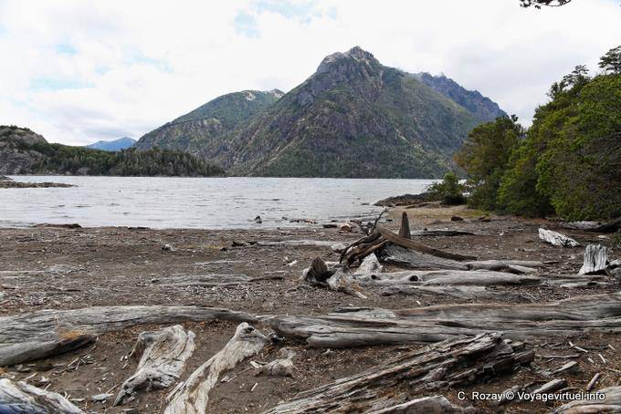 Lago, trozos de madera y la montaña Circuito Chico, Bariloche - Argentina