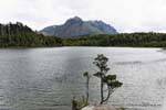 Otra vista del Parque Nacional Llao Llao, Bariloche, Argentina.
