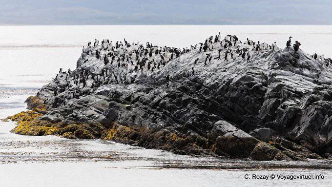 Isla de cormoranes, Ushuaia, Canal Beagle - Argentina