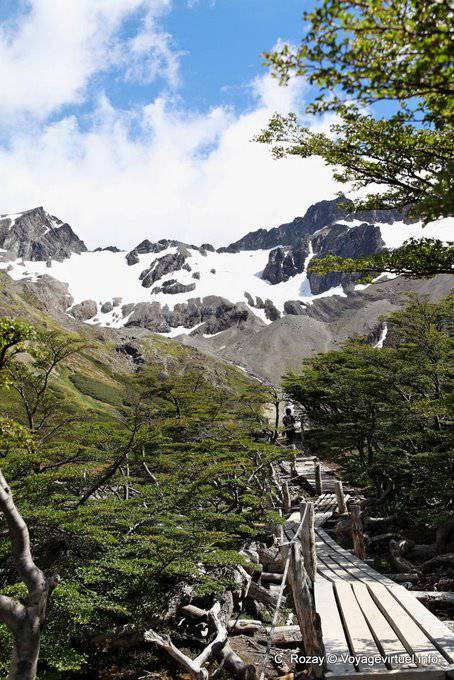 Pasaje de madera, El Bosque, Glaciar Martial, Ushuaia - Argentina