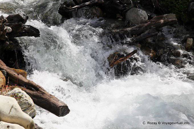 Madera y corriente, subir a Ushuaia Glaciar Martial - Argentina