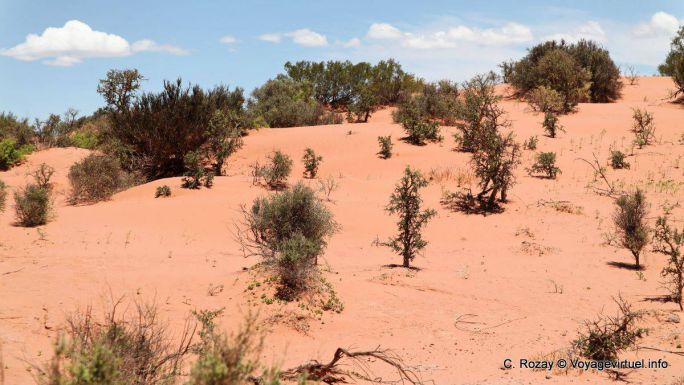 Naranja Ischigualasto arena, Valle de la Luna - Argentina