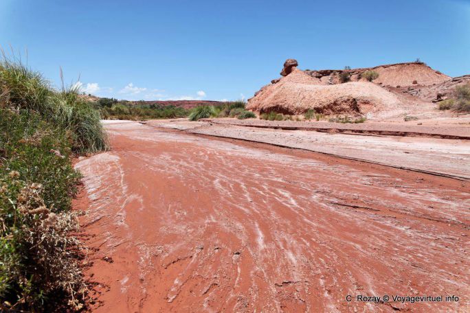 La sal en el lecho del río, Ischigualasto, Valle de la Luna - Argentina