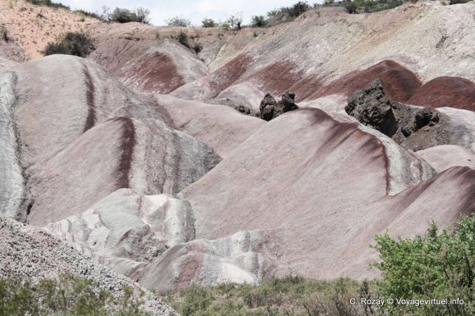 Loberías, Ischigualasto, Valle de la Luna - Argentina