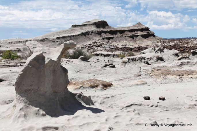 Madera fosilizada Ischigualasto, Valle de la Luna - Argentina