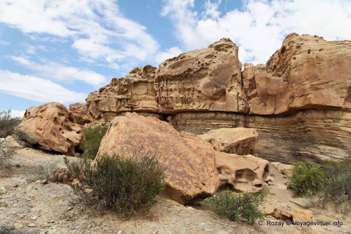 El Gusano, Ischigualasto, Valle de la Luna - Argentina