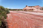 La sal en el lecho del río, Ischigualasto, Valle de la Luna, Argentina.