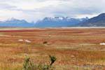 Campaña de verano en diciembre, los colores de la Patagonia, El Calafate, Argentina.