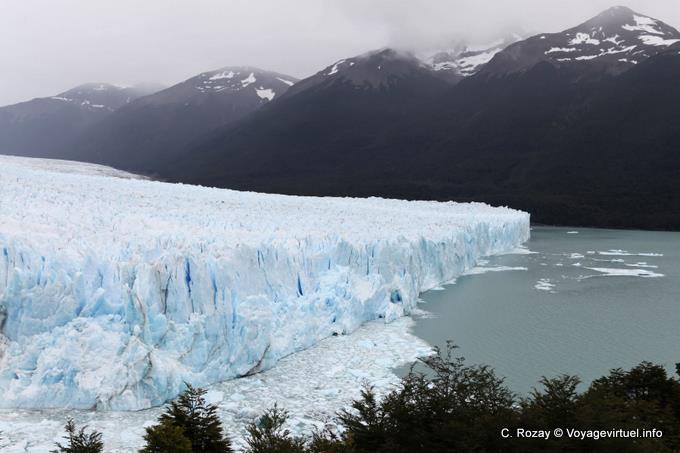 Idioma sur se sumerjan en el Lago Argentino, Glaciar Perito Moreno, El Calafate - Argentina