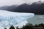 Idioma sur se sumerjan en el Lago Argentino, Glaciar Perito Moreno, El Calafate, Argentina.