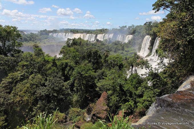Paisaje de la selva a las Cataratas del Iguazú - Argentina