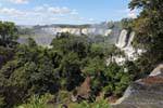 Paisaje de la selva a las Cataratas del Iguazú, Argentina.