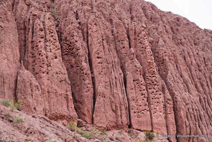 Centrarse en la Casa de Loros, Quebrada de las Conchas - Argentina