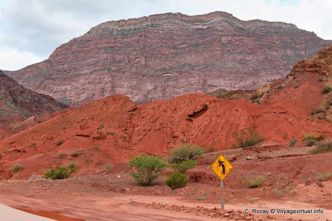 Tierra roja y jara, Quebrada de las Conchas - Argentina