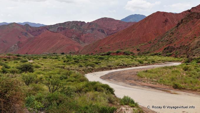 Río que fluye en la Quebrada de las Conchas - Argentina