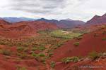 El verde valle del Río de las Conchas, la Quebrada de las Conchas, Argentina.