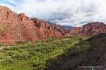 Valle Verde de Alemania, Quebrada de las Conchas, Argentina.