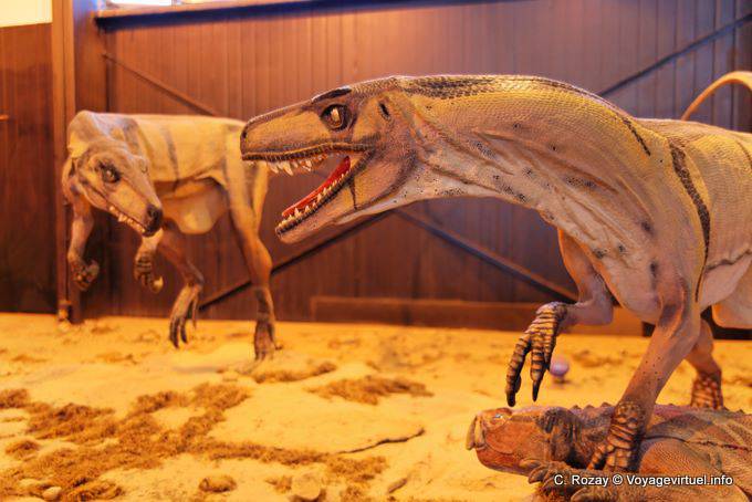 Dinosaurios pelea, museo de la ciencia, Ischigualasto - Argentina