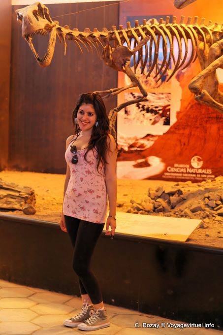 Sonrisa argentina, Ischigualasto, Museo de Ciencias Naturales - Argentina