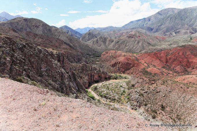 Torrent serpiente Cuesta de Miranda, Ruta 40 entre Villa Unión y Chilecito - Argentina