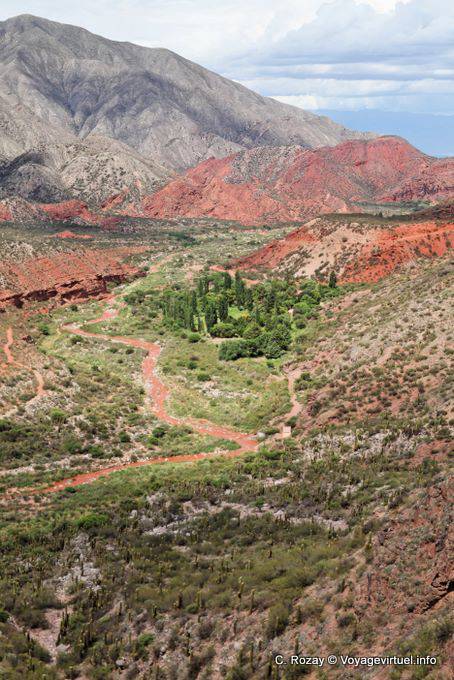 Oasis verde, Cuesta de Miranda, Ruta 40 entre Villa Unión y Chilecito - Argentina