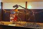 Dinosaurio, Ischigualasto, Ciencias Naturales Museo de, Argentina.