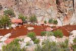 Torrent de sangre, Ruta 40 entre Villa Unión y Chilecito, Cuesta de Miranda, Argentina.