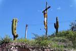 Crucifijo entre los cactus, San Agustín de Valle Fértil, Argentina.