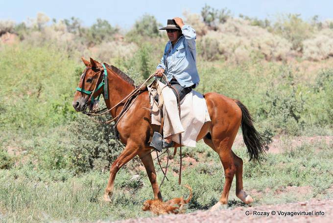 El sombrero de gaucho entre Chepes y San Juan - Argentina