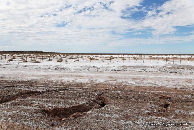 Desierto de sal, Mascasin entre Chepes y San Juan - Argentina