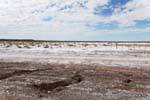Desierto de sal, Mascasin entre Chepes y San Juan, Argentina.