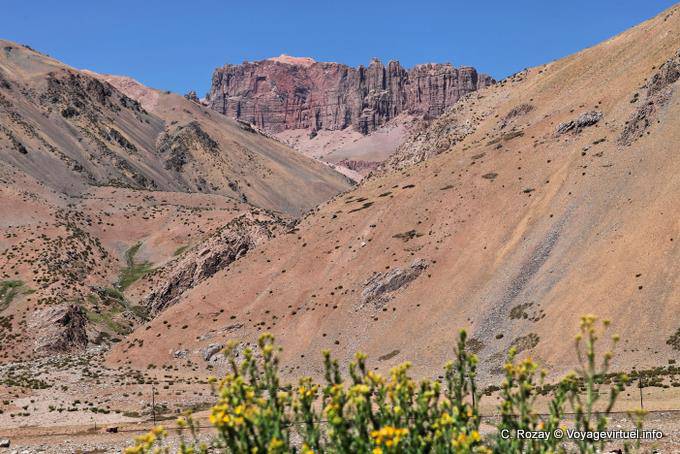 Flores rojas y amarillas Cliffs, Ruta 7 de Mendoza en Chile - Argentina