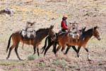 Cavalier con sus caballos, Ruta 7 Los Penitentes, Argentina.
