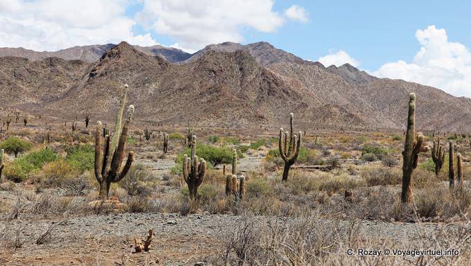 Ruta 40 entre Molinos y Seclantás - Argentina