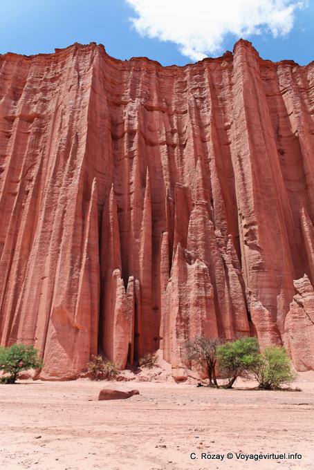 Vista de la Catedral, Talampaya - Argentina