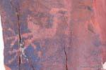 Petroglyph pájaro, Talampaya, Argentina.