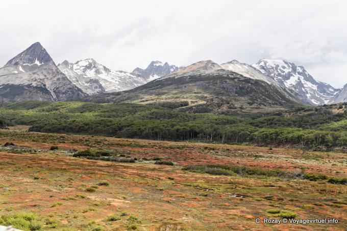 Heath, bosques y montañas, Ushuaia - Argentina