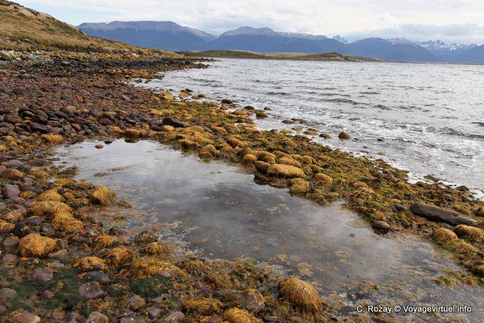 Otro punto de vista de Bahía Brown, Ushuaia - Argentina