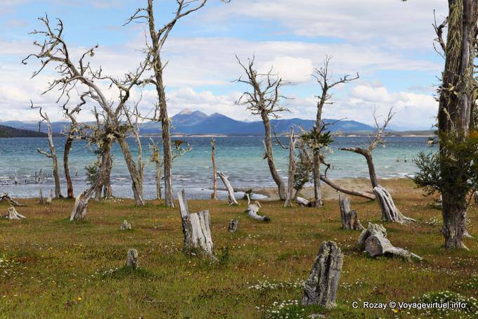 Ver el Cerro Alvear, Ushuaia Lago Yehuin - Argentina