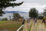 Los bancos y los altramuces, Ushuaia Lago Fagnano, Argentina.