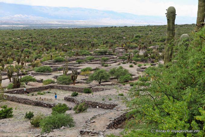 Panorama del valle Yokavil, Quilmes Ruinas - Argentina