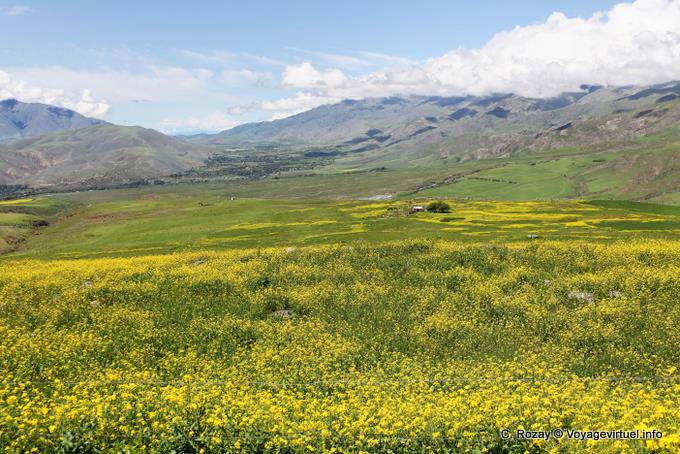 Vista desde Pinar de los Cervios, Tafi del Valle, Ruta 307 - Argentina