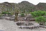 Candelabros Cactus y edificios de piedra de la montaña, Quilmes Ruinas, Argentina.