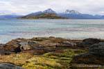 Isla Redonda, el Parque Nacional Tierra del Fuego, Ushuaia, Argentina.